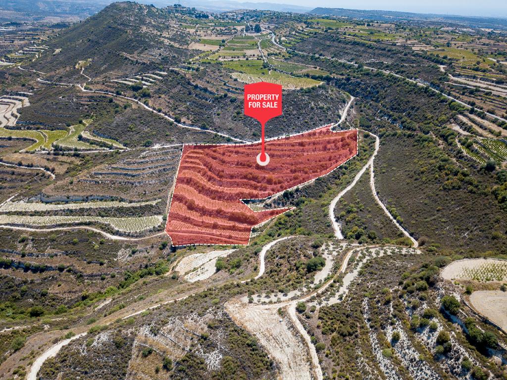 Field-Pachna-PR39636