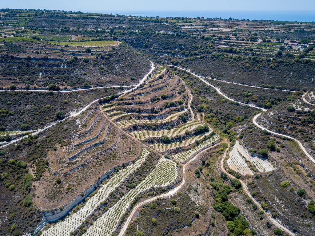 Field-Pachna-PR39636