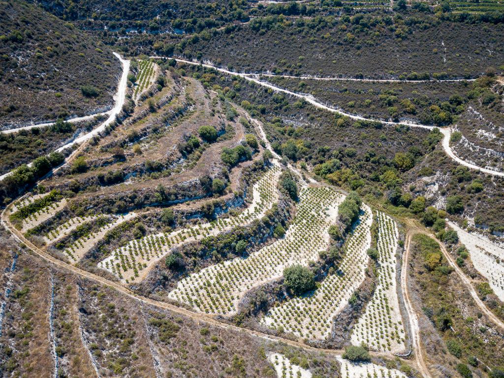 Field-Pachna-PR39636