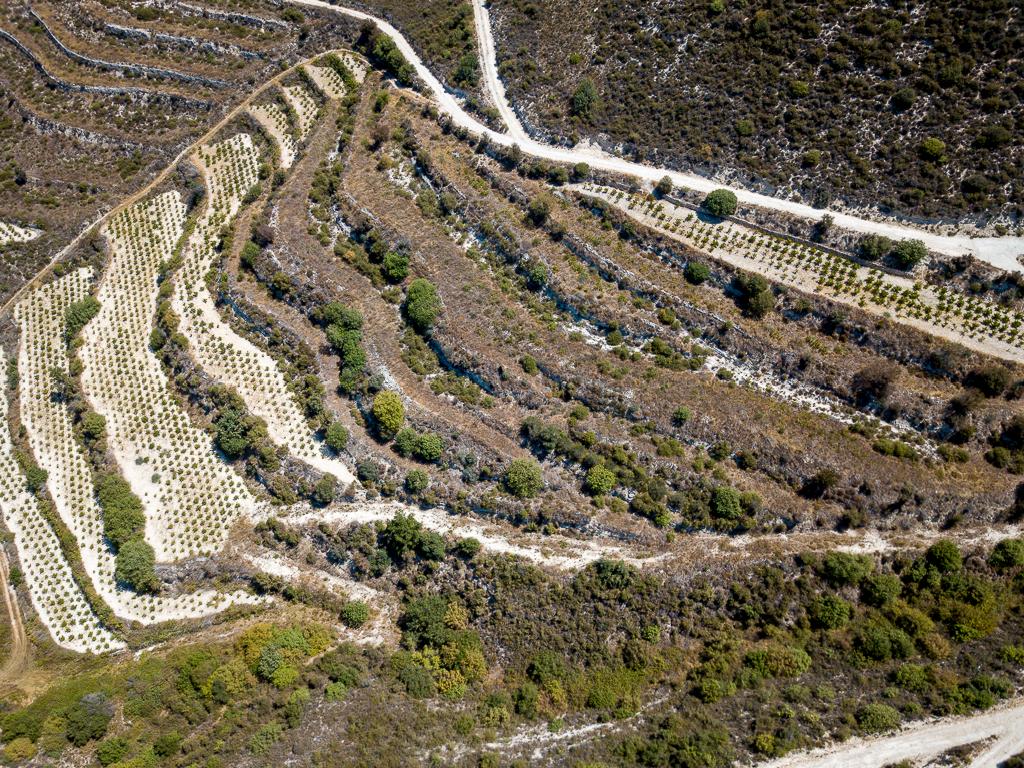 Field-Pachna-PR39636