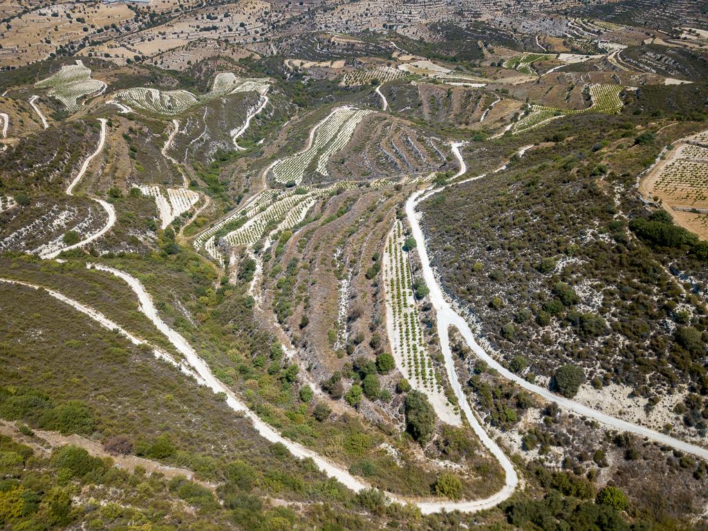 Field-Pachna-PR39636