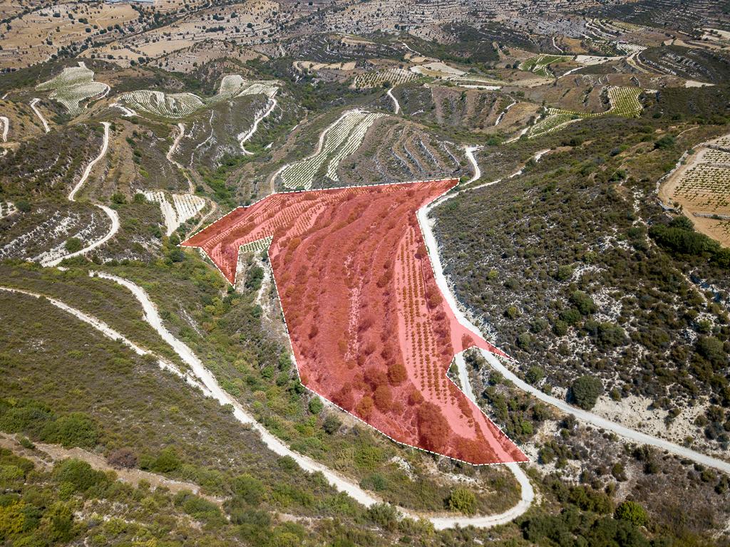 Field-Pachna-PR39636