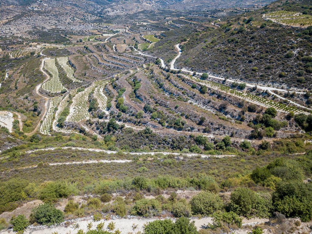 Field-Pachna-PR39636