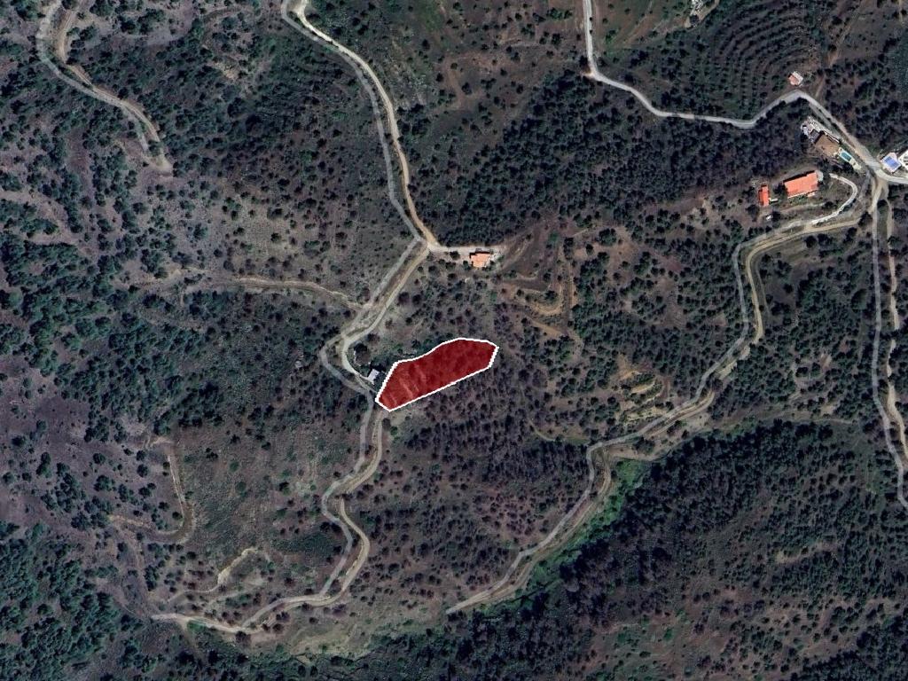 Field-Agios Epifanios (Oreinis)-PR40020