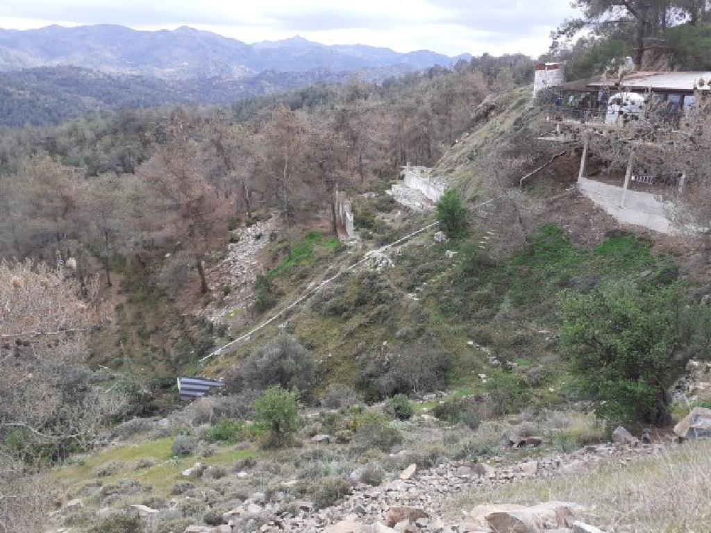 Field-Agios Epifanios (Oreinis)-PR40020