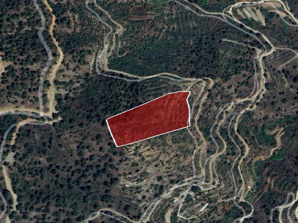 Field-Agia Eirini-PR40627