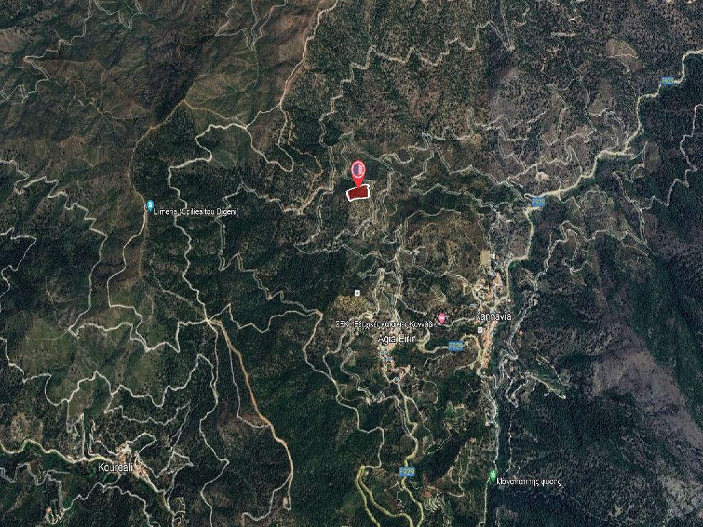 Field-Agia Eirini-PR40627