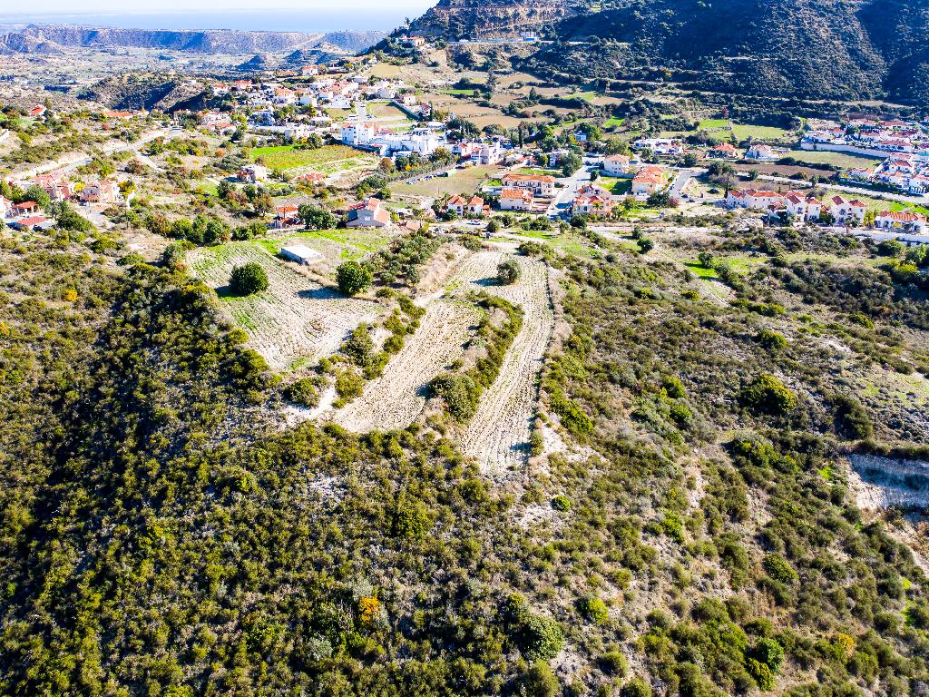 Field - Pissouri, Limassol
