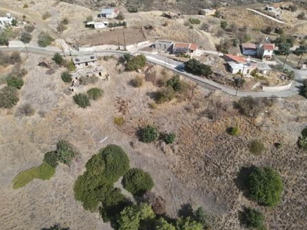 Field - Pigenia, Nicosia