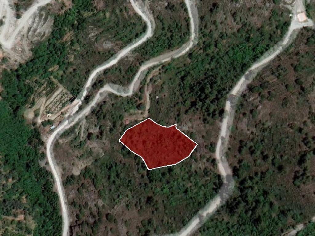 Field-Lagoudera-PR12307