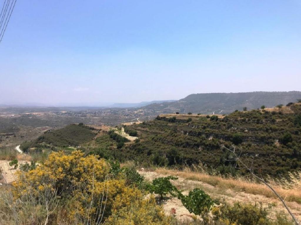 Field-Pachna-PR15506