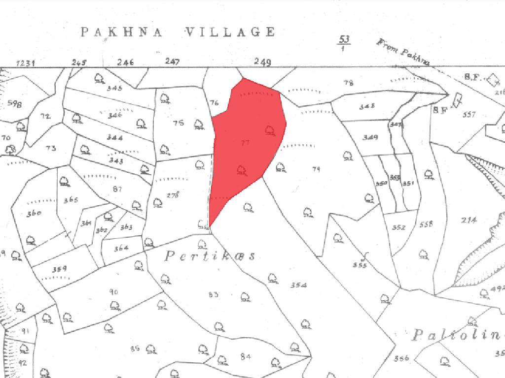 Field-Pachna-PR15506