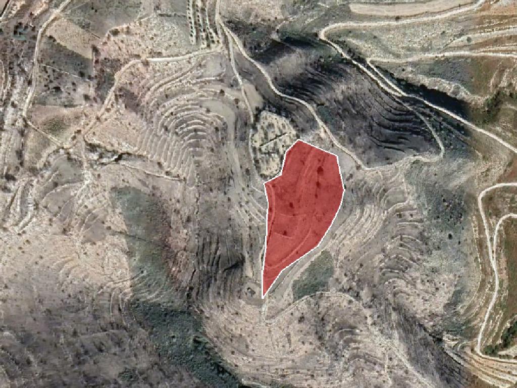 Field-Pachna-PR15506