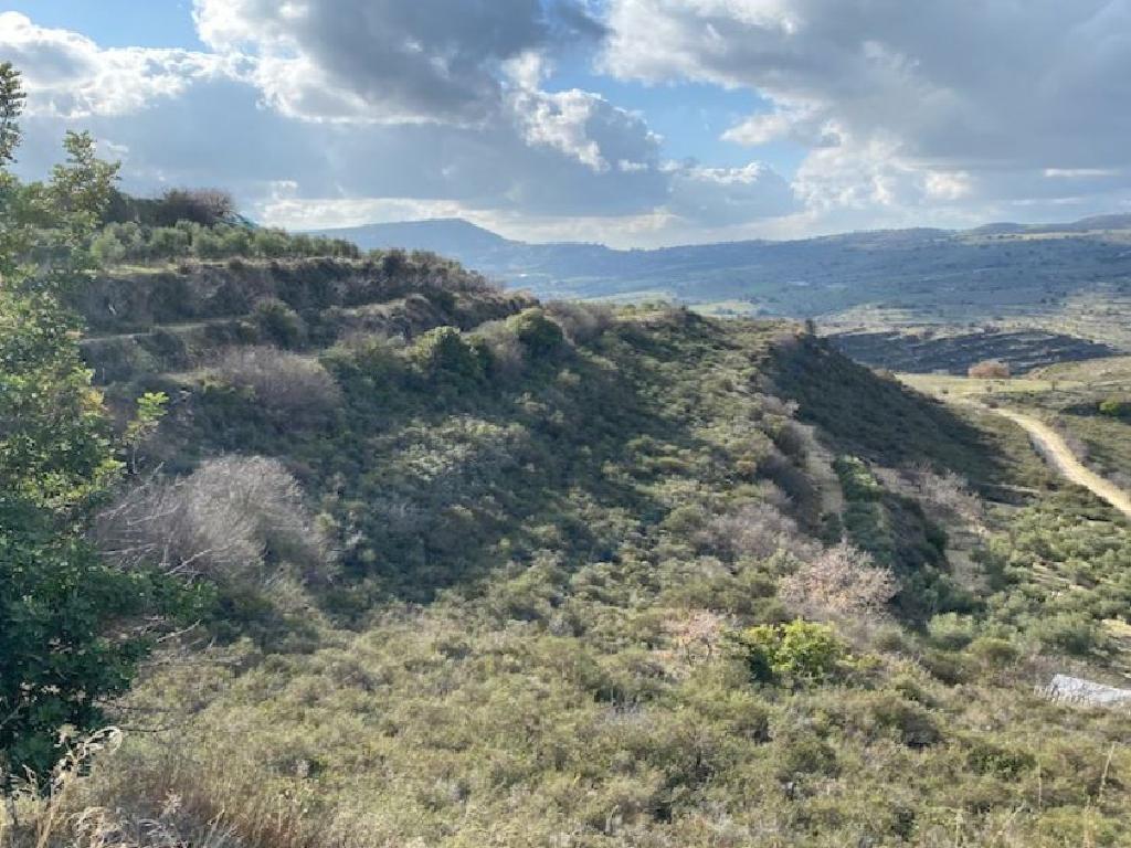Field-Pachna-PR34234