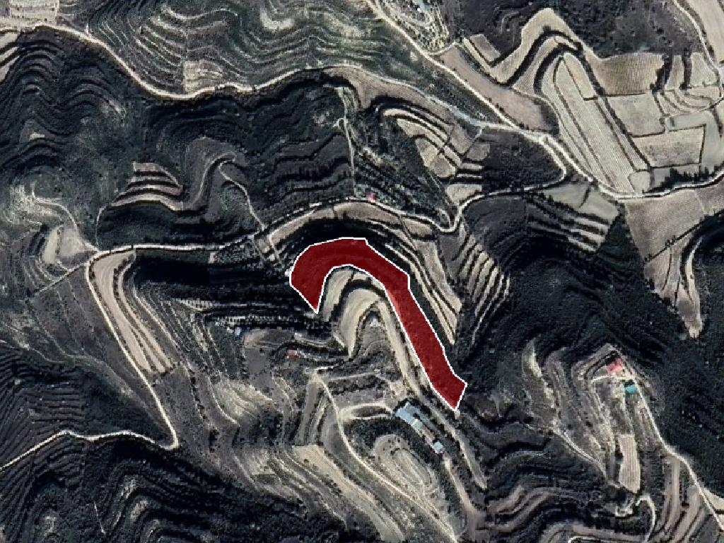Field-Pachna-PR34234