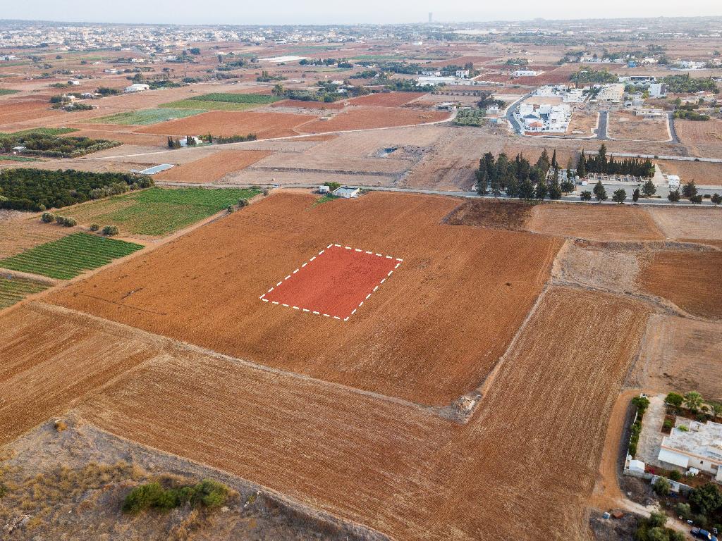 Field - Frenaros, Famagusta