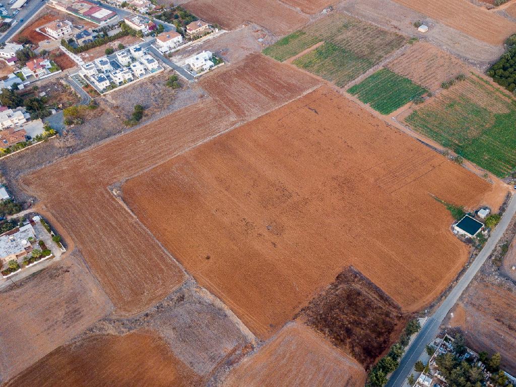 Field - Frenaros, Famagusta