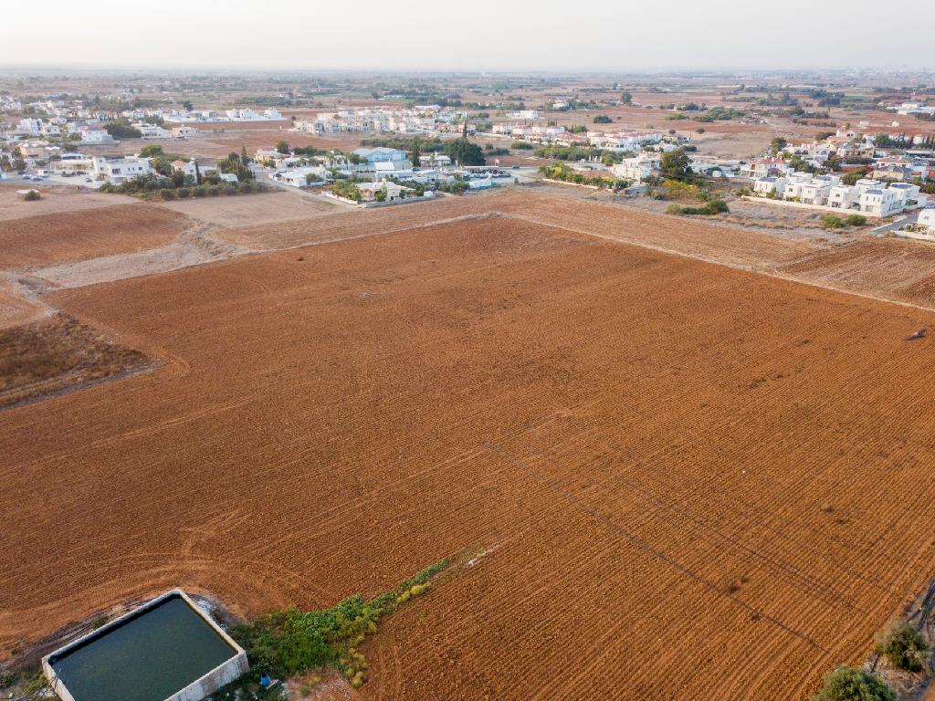 Field - Frenaros, Famagusta