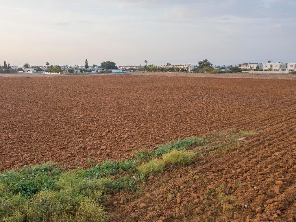 Field - Frenaros, Famagusta