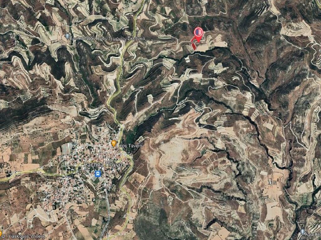 Field-Pachna-PR35812