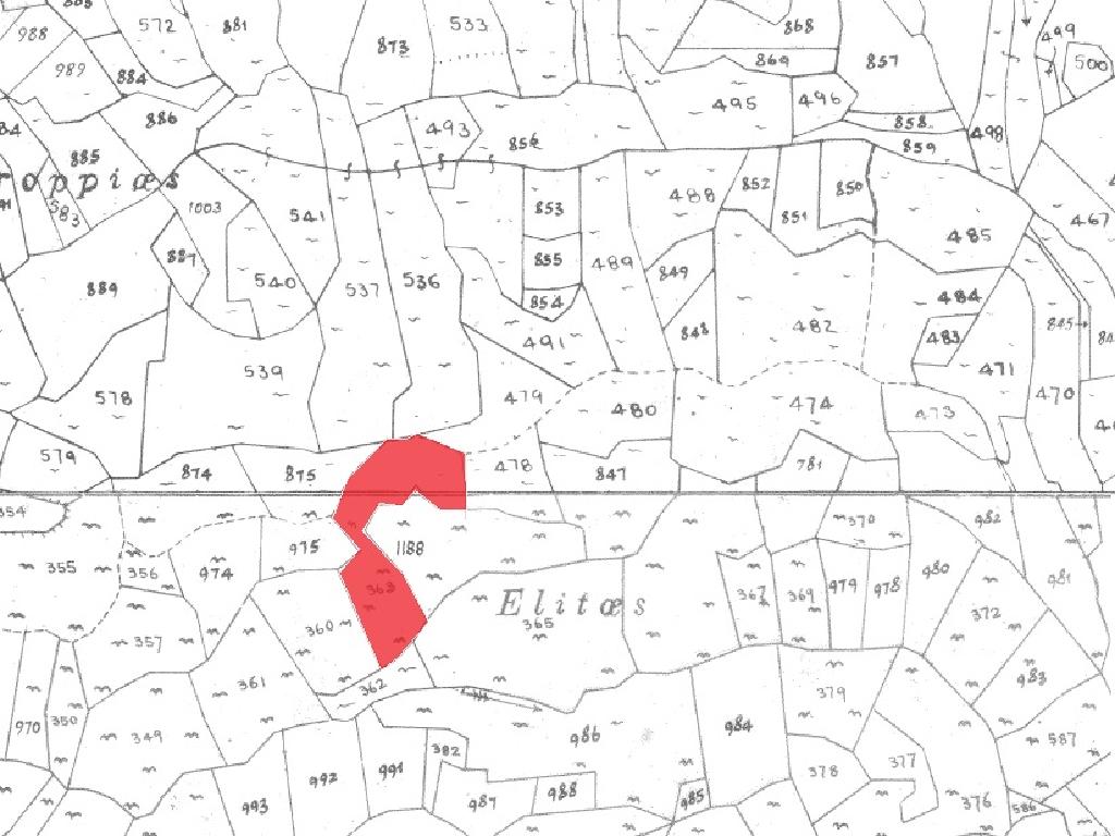 Field-Pachna-PR35812