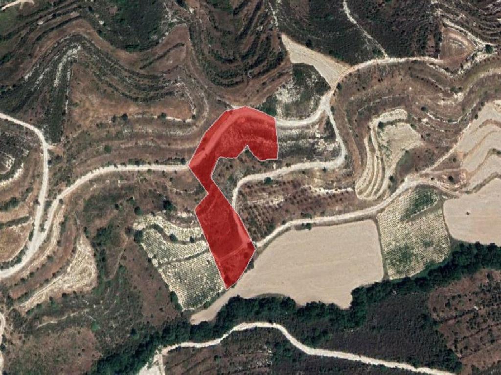 Field-Pachna-PR35812