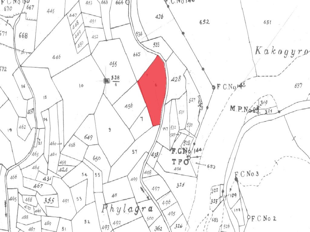 Field-Pelendri-PR38091