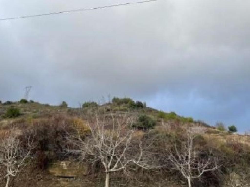 Field-Pelendri-PR38091