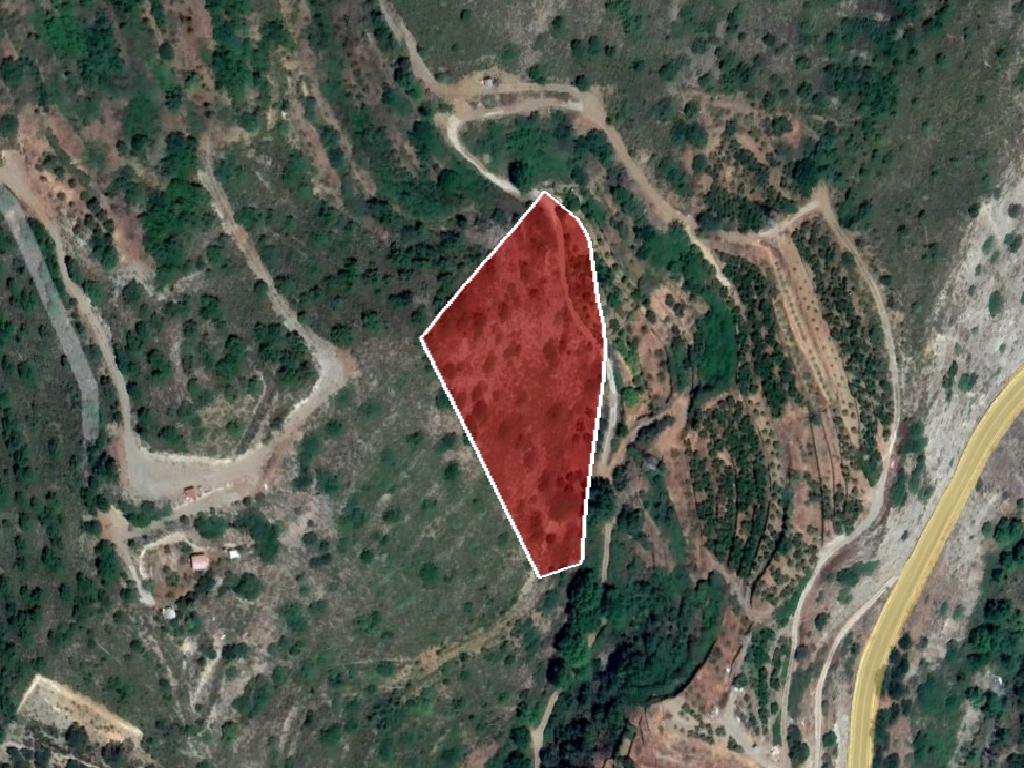 Field-Pelendri-PR38091