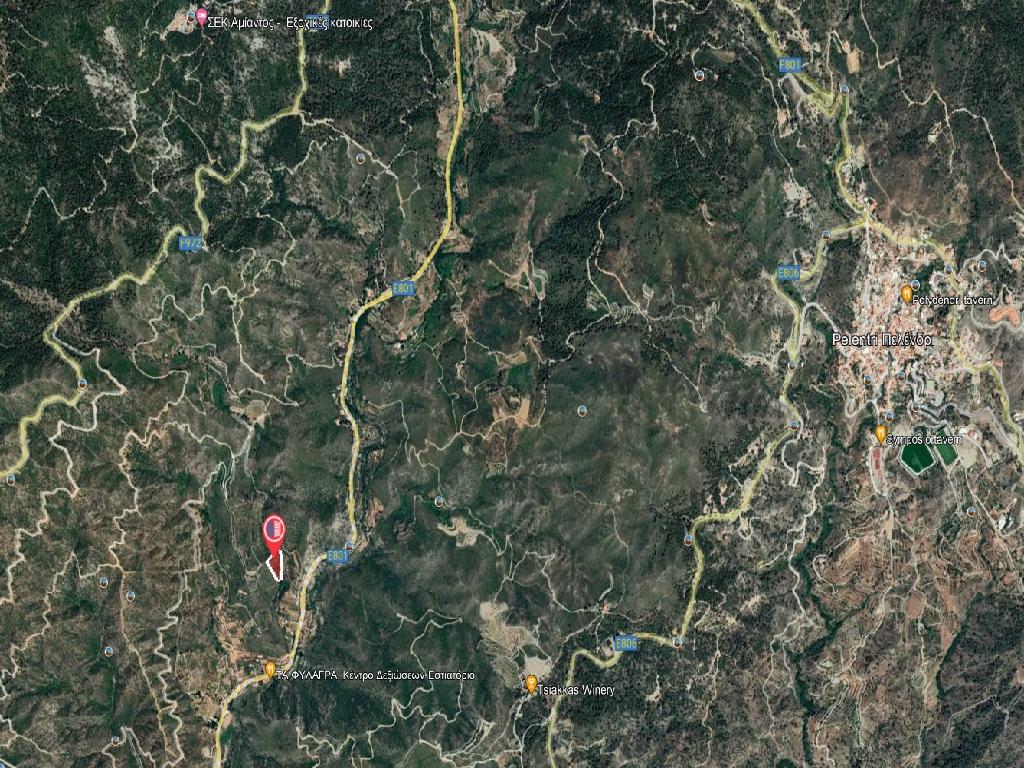 Field-Pelendri-PR38091