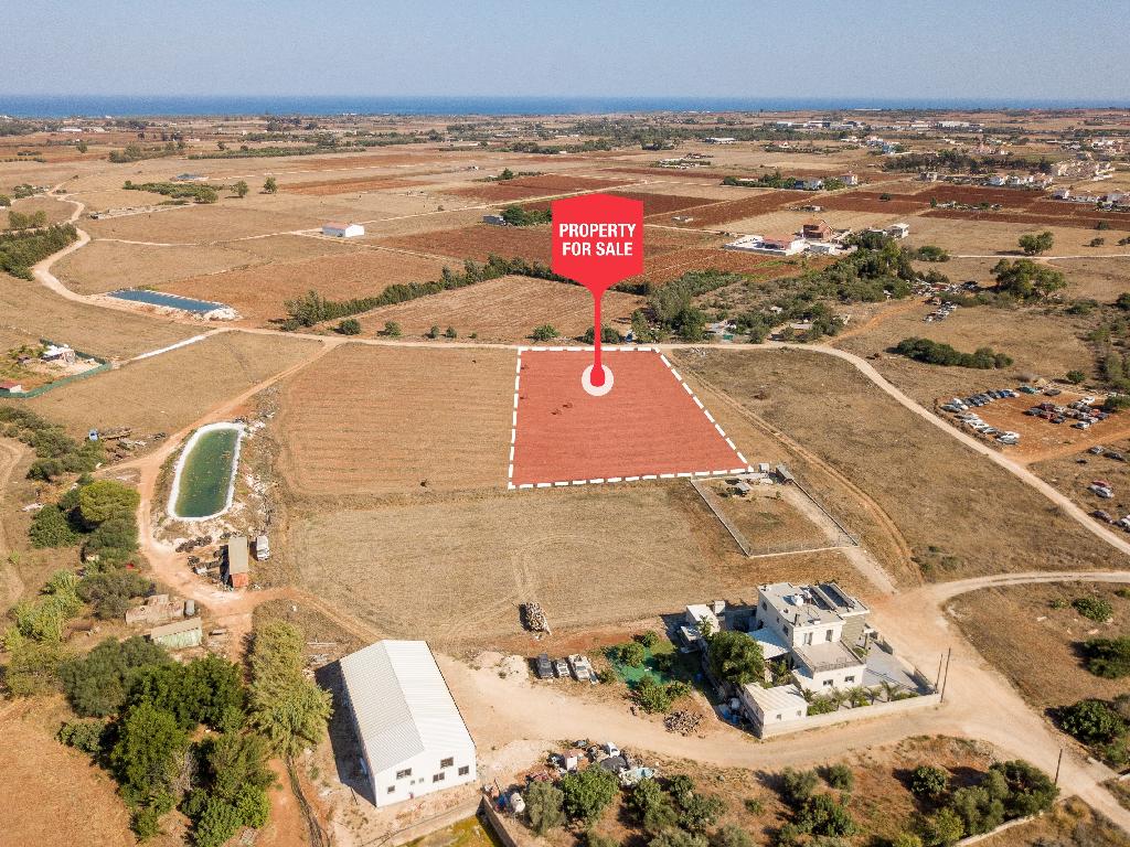 Field-Xylofagou-PR38721