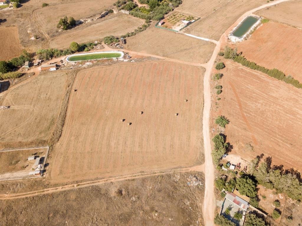 Field-Xylofagou-PR38721