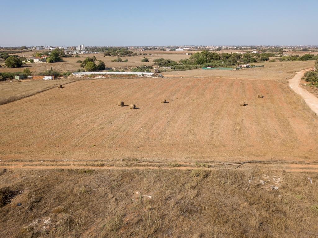 Field-Xylofagou-PR38721