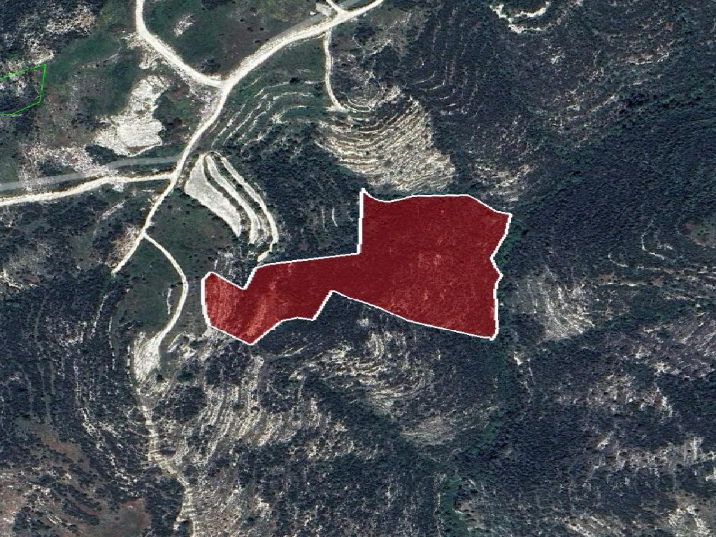 Field-Tsada-PR39438