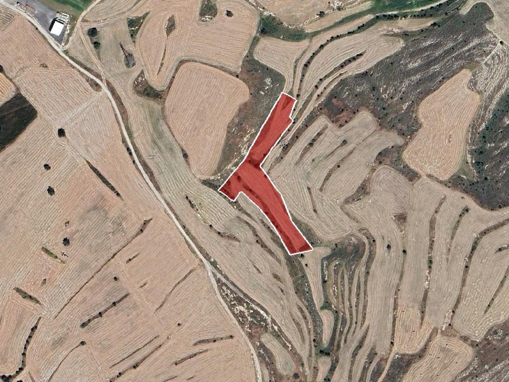 Field-Lympia-PR39724