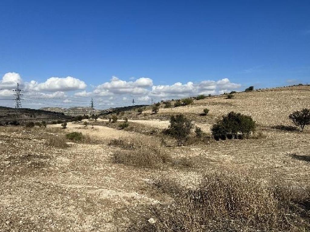 Field-Lympia-PR39724