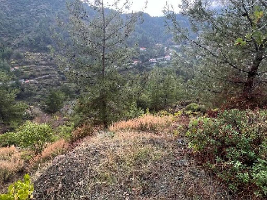Field-Spilia-PR41366