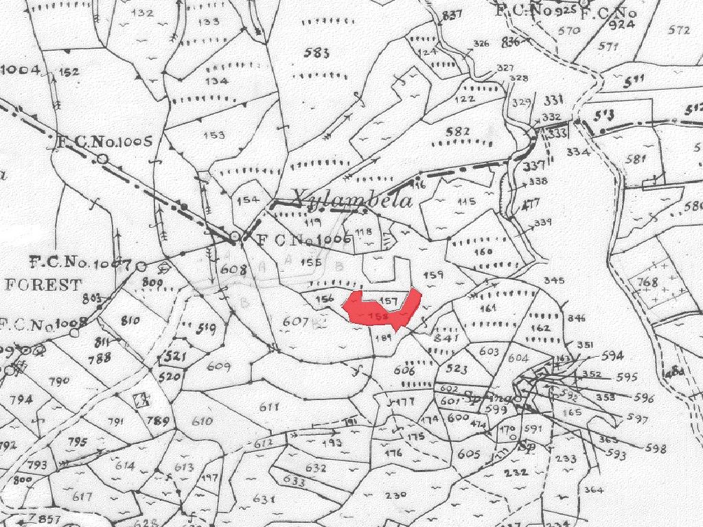 Field-Spilia-PR41366