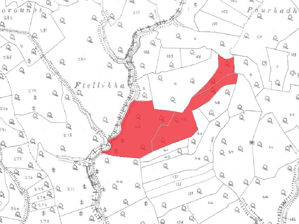 Field-Dora-CP10063