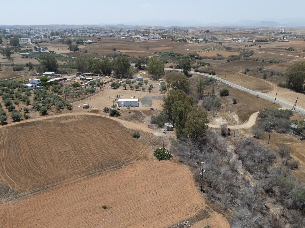Field-Paleometocho-PR41835