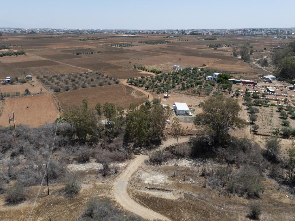 Field-Paleometocho-PR41835