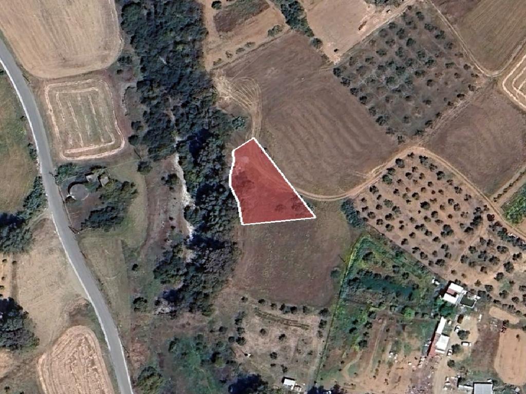 Field-Paleometocho-PR41835