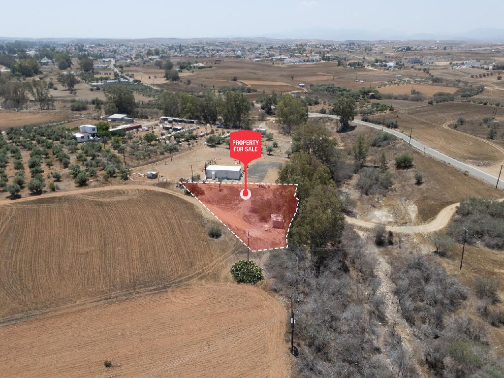 Field-Paleometocho-PR41835