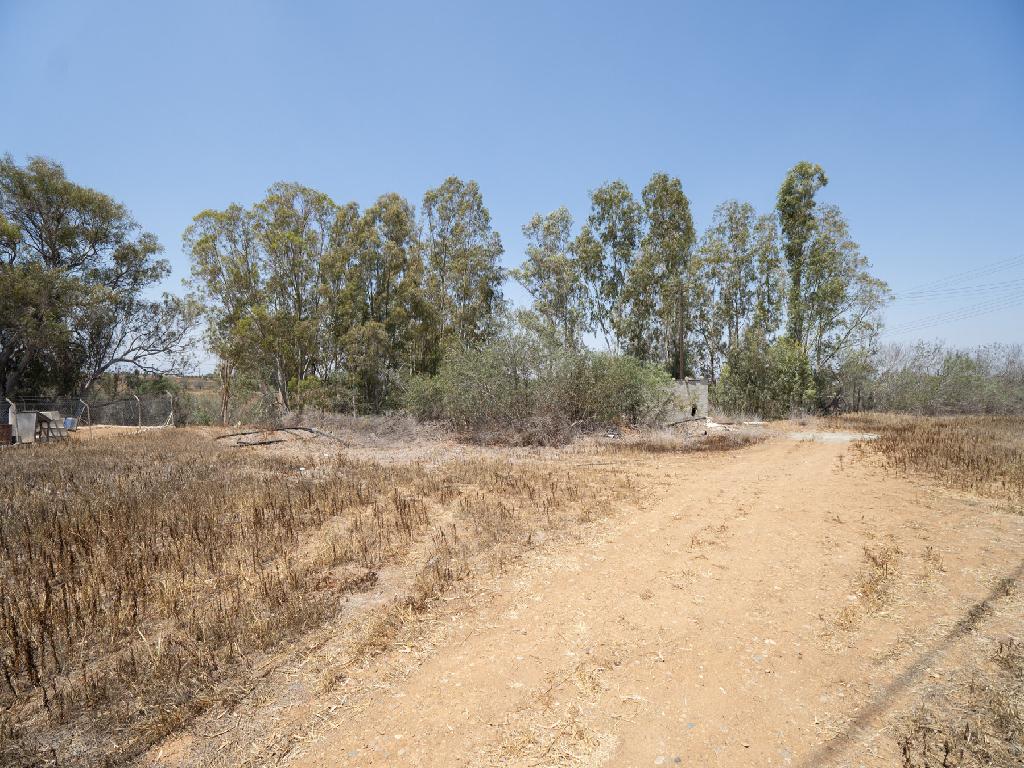 Field-Paleometocho-PR41835