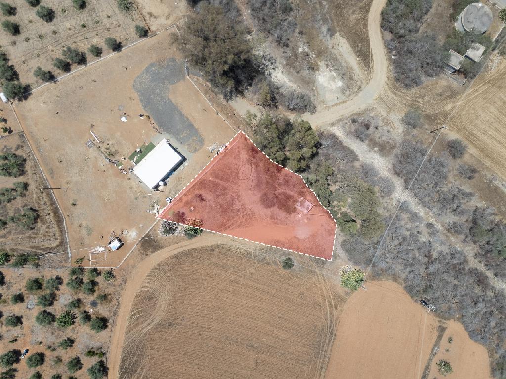 Field-Paleometocho-PR41835