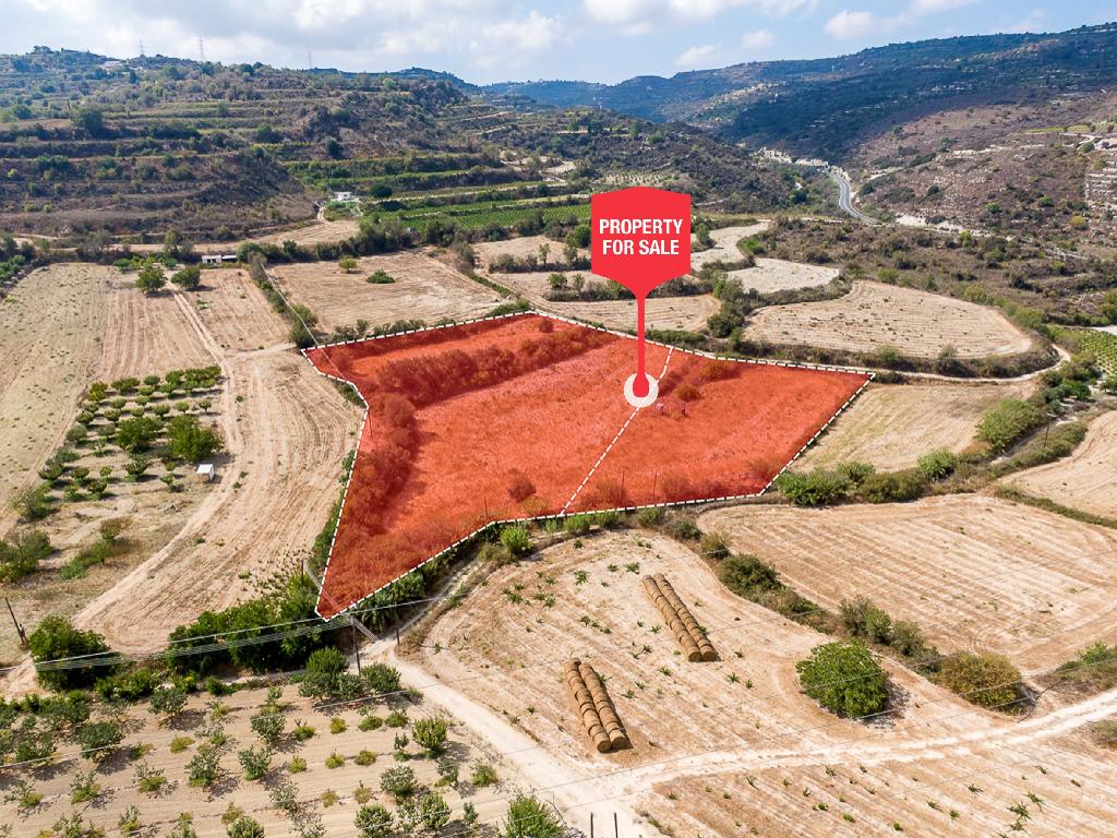 Field  - Stroumpi, Paphos