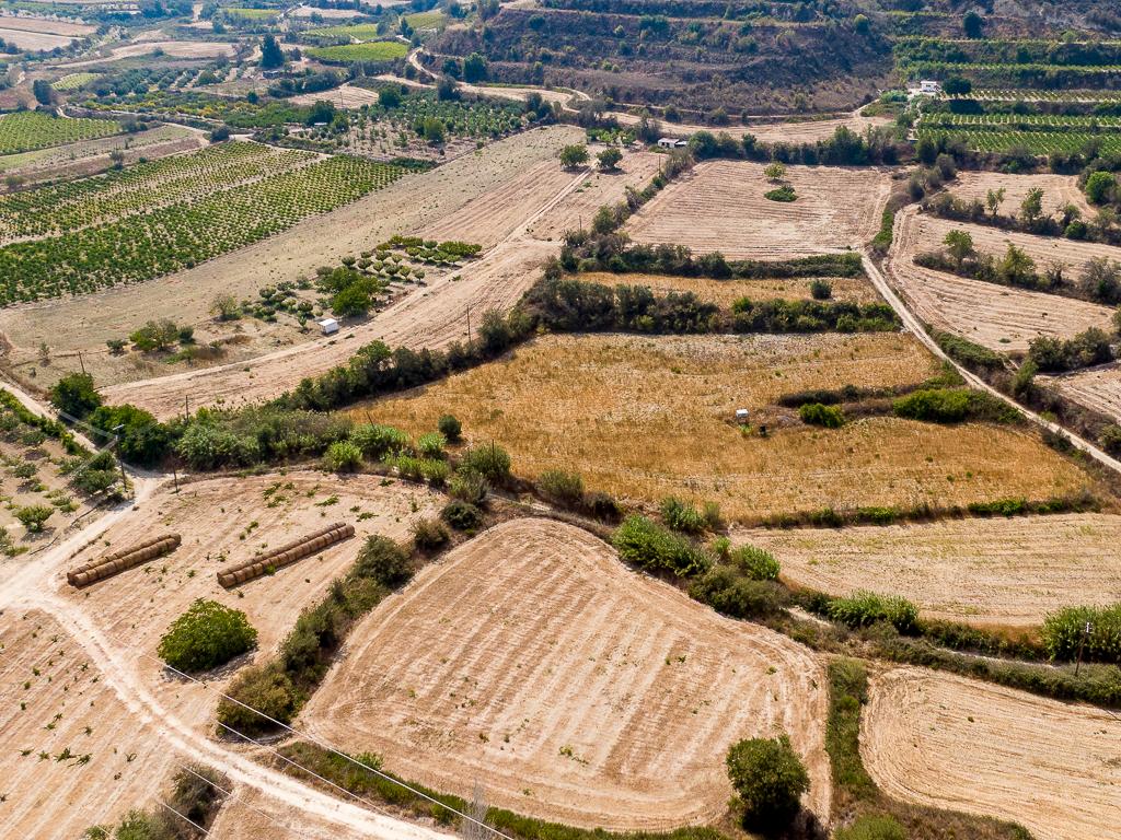 Field  - Stroumpi, Paphos