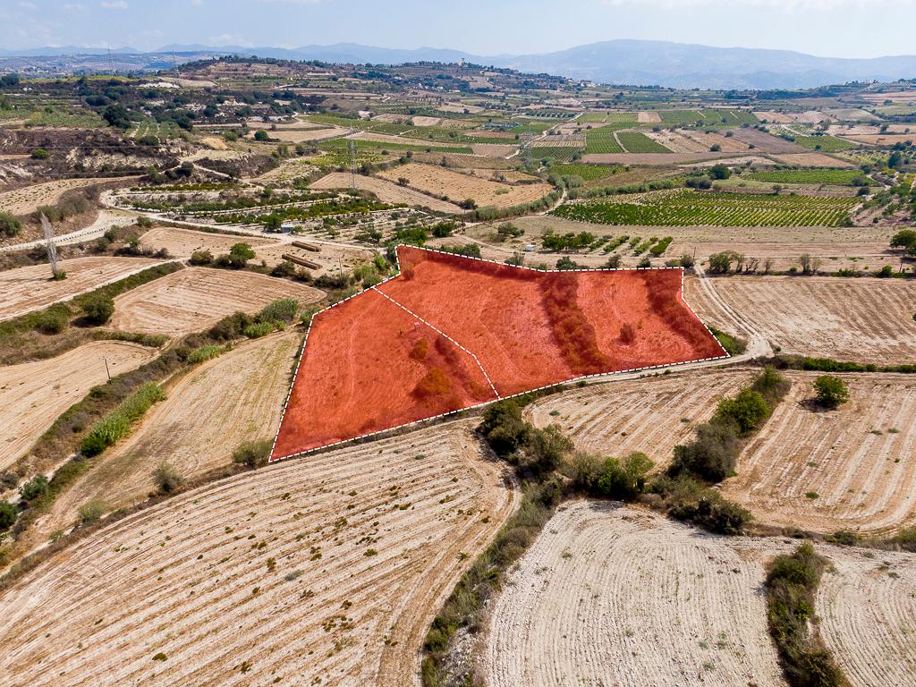 Field  - Stroumpi, Paphos