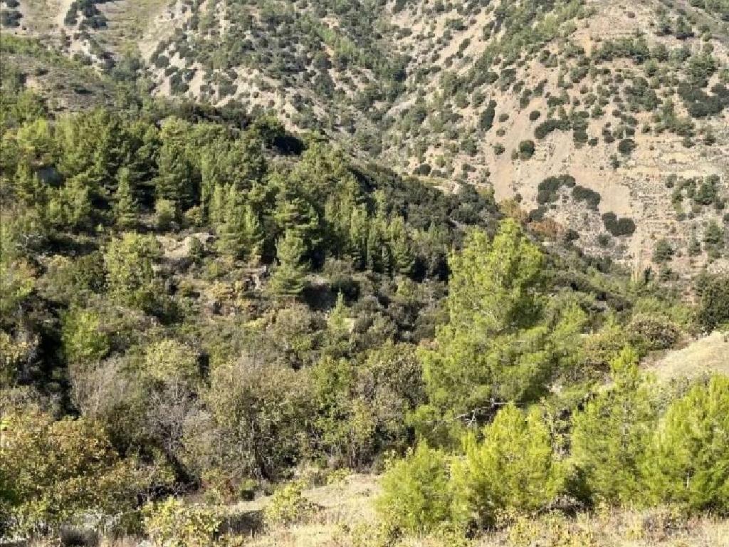 Field - Moutoula, Nicosia