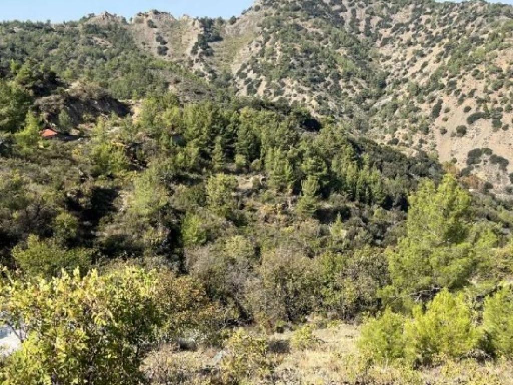 Field - Moutoula, Nicosia